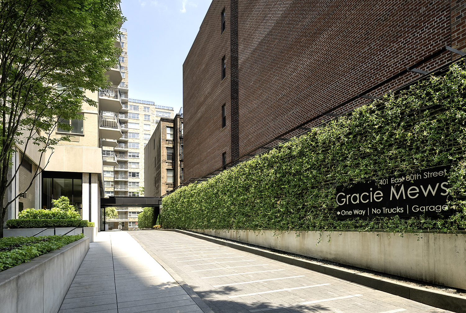 Gracie Mews - Driveway 2025 #2